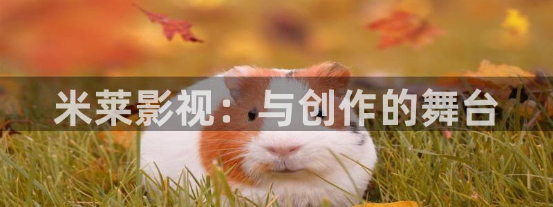 《新视觉影视院4480》