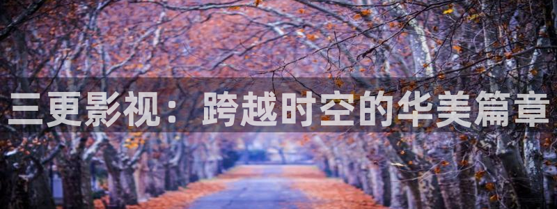 新视觉6080官网