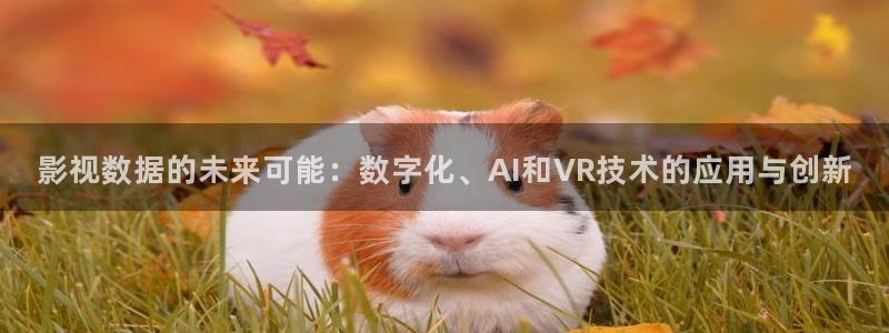 新视觉影视免费下载