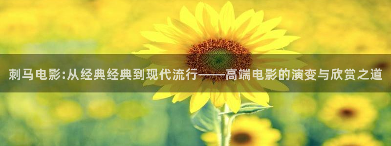 a4yy新视觉