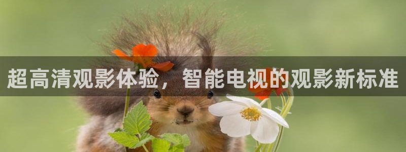 yy6080org新视觉
