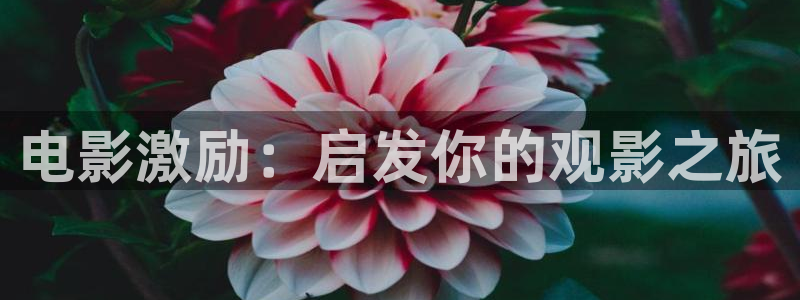 新视觉电视