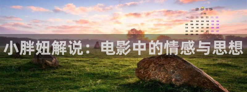 新视觉特