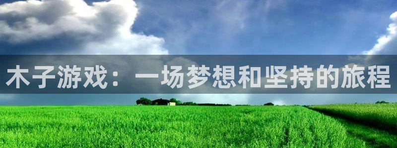 新视觉影视有限公司