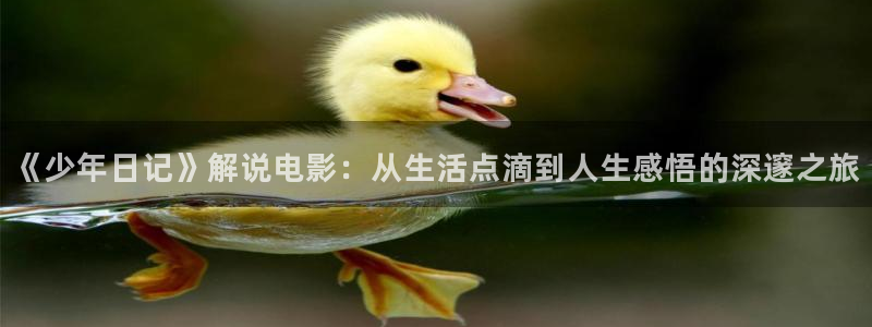 新视觉体育节目单