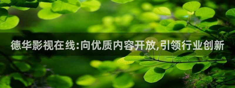 yy8090新视觉神马影院