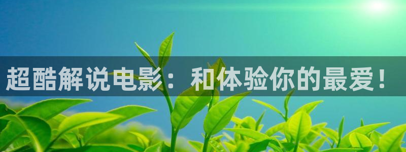6080新视觉影视有哪些好看的电影