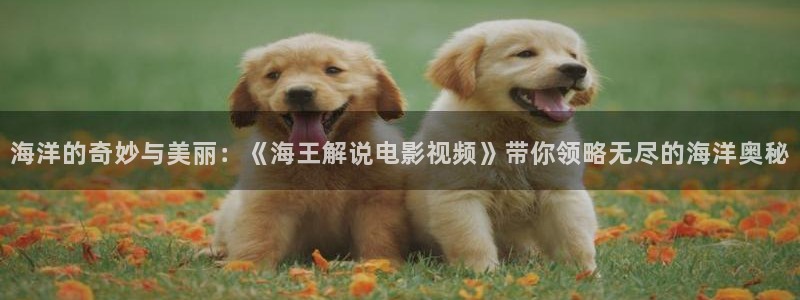 新视觉6080电影院在线看电视剧yy