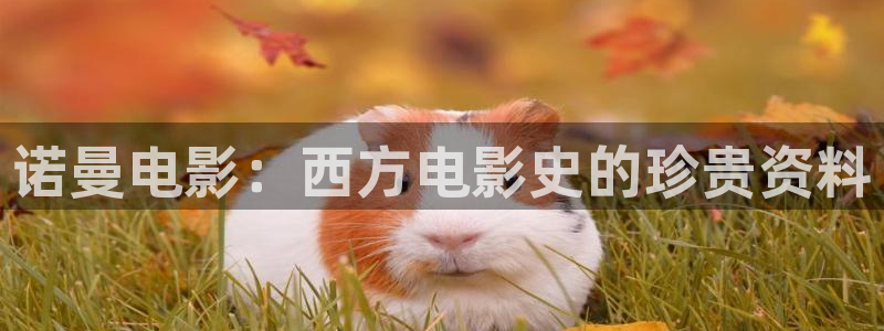 6080新视觉长津湖