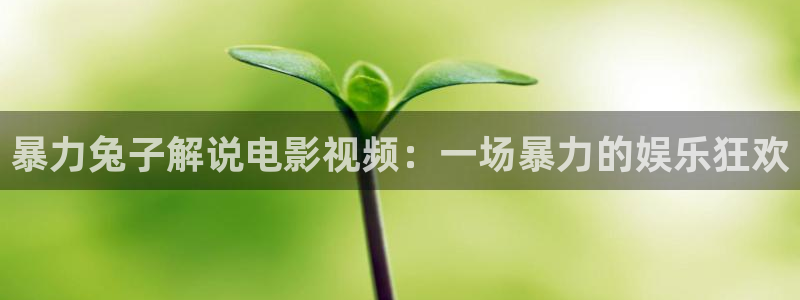 4080新视觉理论电视剧在线观看