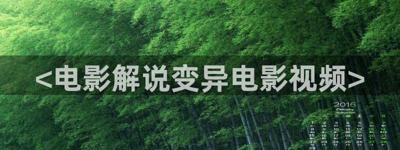 新视觉影院r级