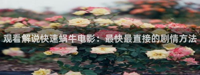 新视觉6080电影院在线看电视剧yy