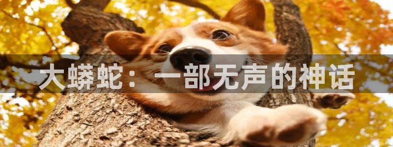 新视觉视觉视