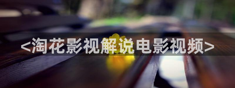 y y6080新视觉影视：<淘花影视解说电影视频>