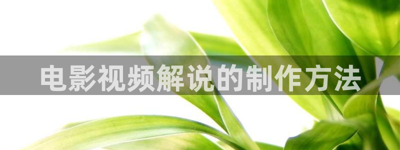 新视觉影院现现实片：电影视频解说的制作方法