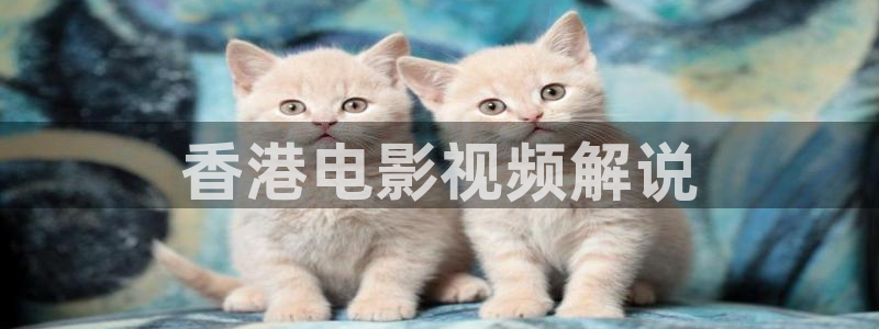 及时更新的新视觉网站：香港电影视频解说