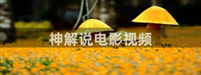 6080新视觉影视逗别看：神解说电影视频