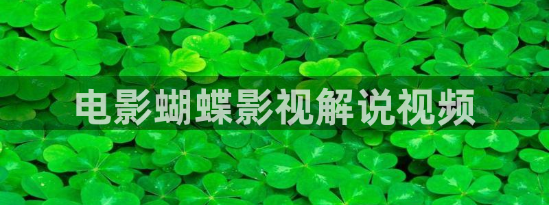 6080新视觉影视剧免费观看：电影蝴蝶影视解说视频