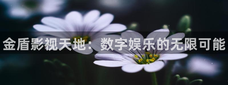 新视觉影院电脑版：金盾影视天地：数字娱乐的无限可能