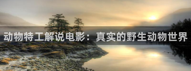 内衣办公室新视觉影院：动物特工解说电影：真实的野生动物世界