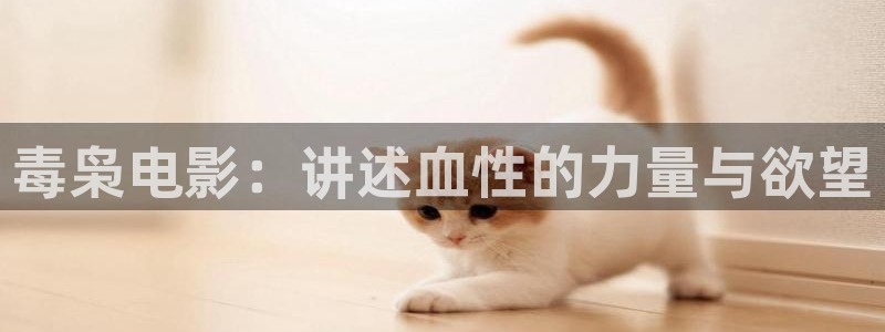 8新视觉：毒枭电影：讲述血性的力量与欲望