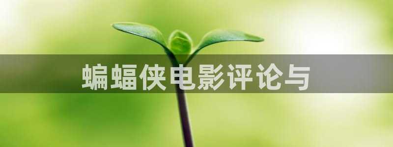 新视觉伦理影院6080：蝙蝠侠电影评论与