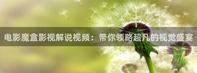 6080新视觉理论电视剧在线观看：电影魔盒影视解说视频：带你领略超凡的视觉盛宴