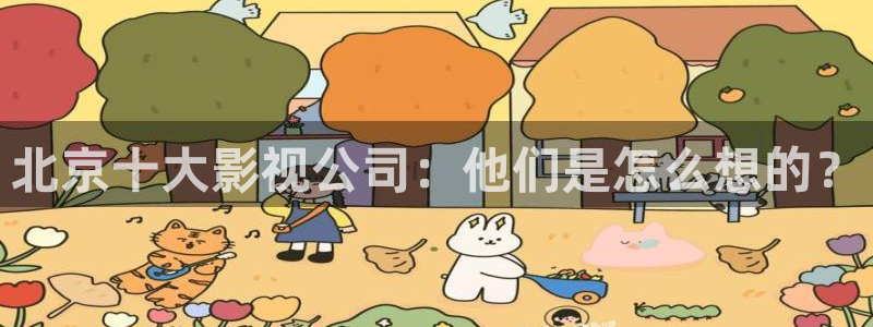 新视觉午夜宅男：北京十大影视公司：他们是怎么想的？