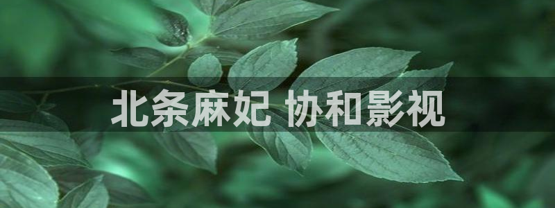 新视觉电视剧在线观看：北条麻妃 协和影视