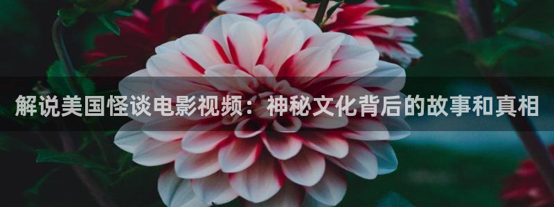 6080新视觉yy午夜：解说美国怪谈电影视频：神秘文化背后的故事和真相