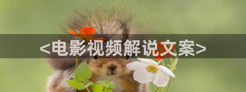 yy8090新视觉免费观看电视剧大全