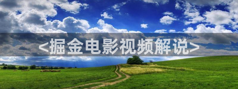 新视觉网络科技有限公司