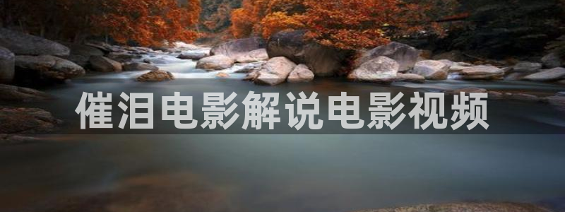 yy6080新视觉神马影院：催泪电影解说电影视频