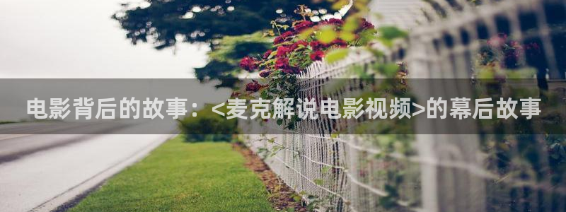 影院新视觉：电影背后的故事：<麦克解说电影视频>的幕后故事