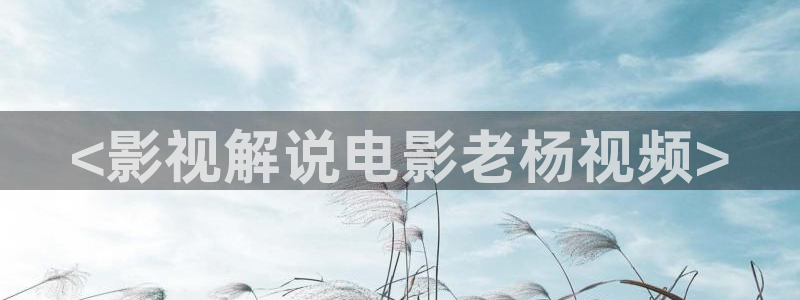 6080新视觉影院伦理：<影视解说电影老杨视频>