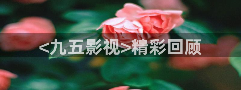 yy6080新视觉青苹果：<九五影视>精彩回顾