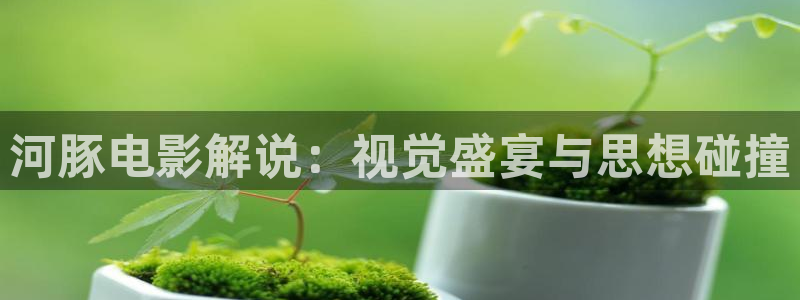新视觉 影视
