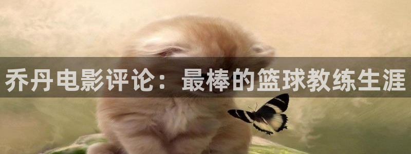 新视觉电影网在线观看：乔丹电影评论：最棒的篮球教练生涯