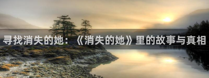 新视觉影院网：寻找消失的她：《消失的她》里的故事与真相