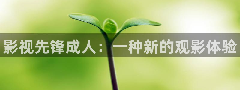 6080新视觉电影电视剧在线观看官网：影视先锋成人：一种新的观影体验