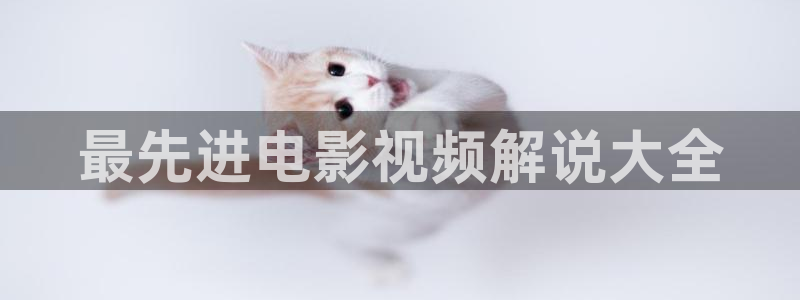 新视觉看吧：最先进电影视频解说大全