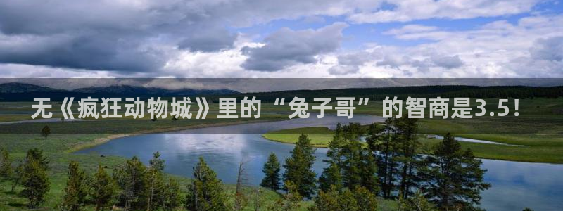 新视觉yy4080：无《疯狂动物城》里的“兔子哥”的智商是3.5！