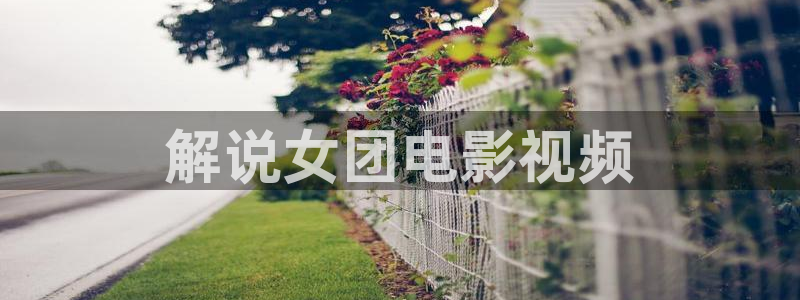 8090新视觉理论电视剧全集高清