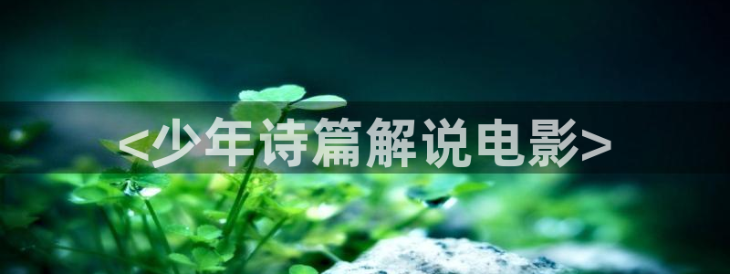 新视觉影院神马都有