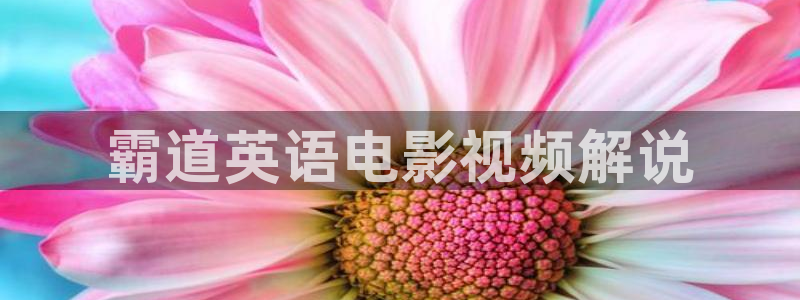 6080新视觉影院网