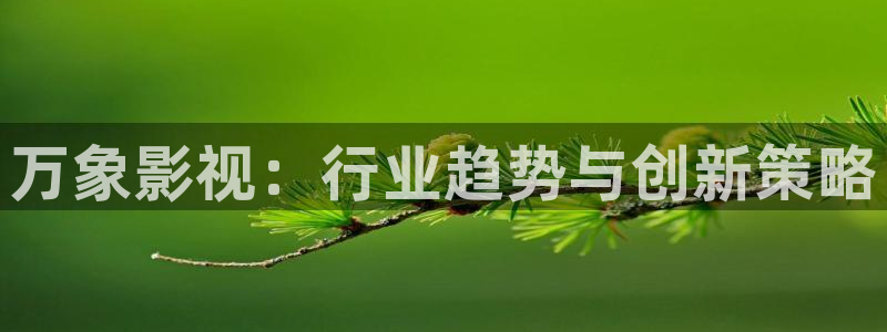 山东新视觉数码实训基地