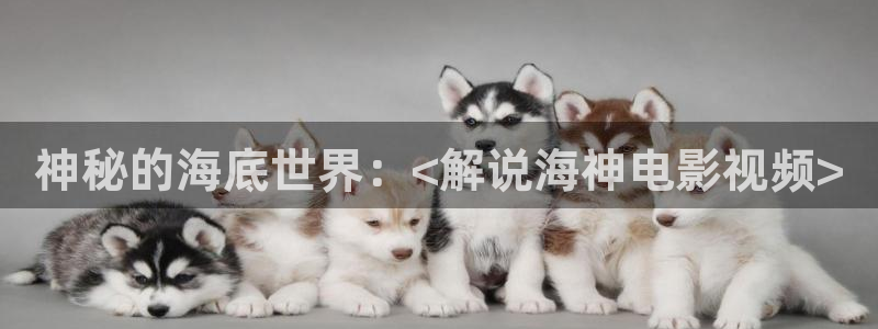 6080新视觉影视剧