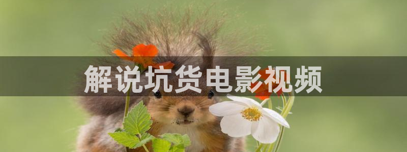 新视觉电视