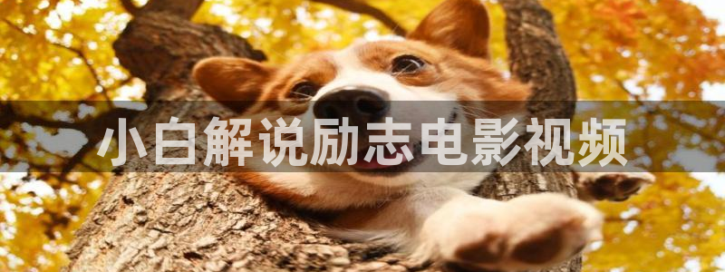 新视觉yy6080理论片