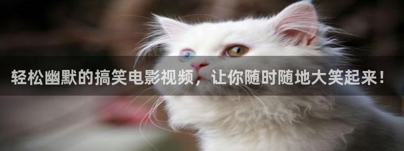 80900新视觉理论电视剧全集高清免费播